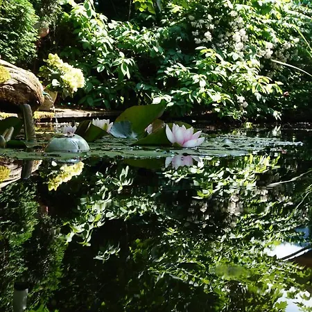 Huber Altenmarkt im Pongau